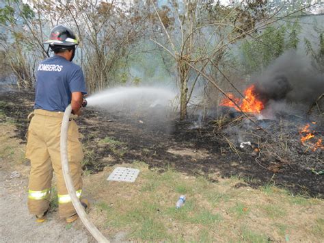 Incendios Forestales Afectan Reserva Biológica De Panamá Oeste Critica