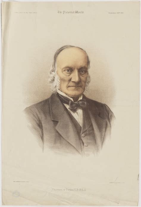 Npg D39480 Sir Richard Owen Portrait National Portrait Gallery