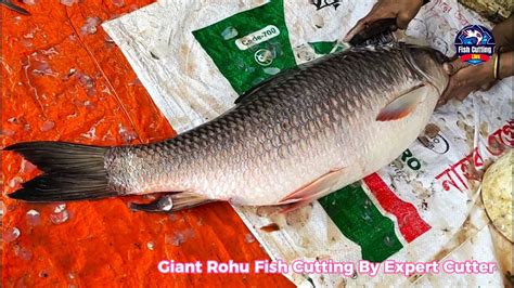 Amazing New Style Cutting L Delicious Rohu Fish Fast Cutting By Expert