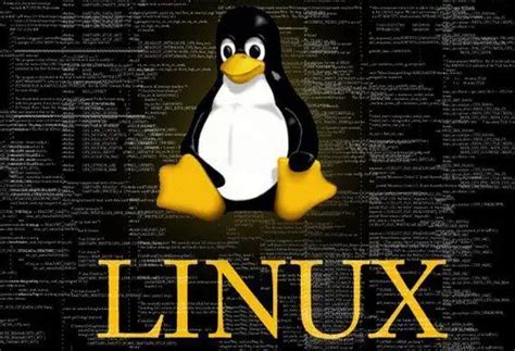 Qué es Linux Su Definición y Significado 2019