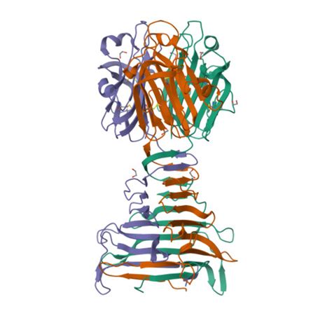 RCSB PDB 8ONF Crystal Structure Of Bdellovibrio Bacteriovorus Bd2439