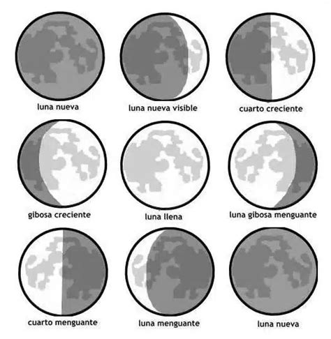 C Mo Se Usa El Calendario Lunar Cann Bico Cosechalibre