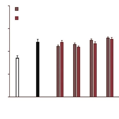 Effects Of Rhus Longipes Leaf And Bark Infusion On Glucose Uptake In