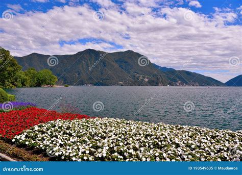 Ciani Park Lugano Switzerland Stock Image Image Of Outdoor Lugano