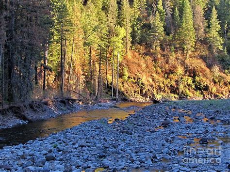 Umatilla River Oregon Photograph by Shylee Charlton