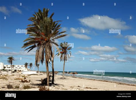 Tourist zone beaches on the Mediterranean coast, Djerba, Tunisia, North Africa, Africa Stock ...