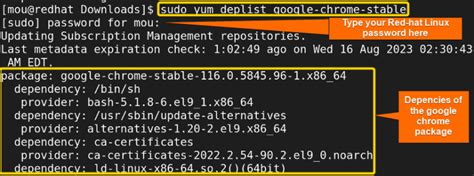 How To Uninstall A Yum Package User Friendly Cases Linuxsimply