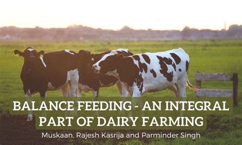 Balance Feeding An Integral Part Of Dairy Farming Sr Publications