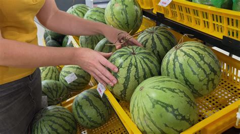 Choosing Fresh Watermelons, Grocery Shopping 35895227 Stock Video at