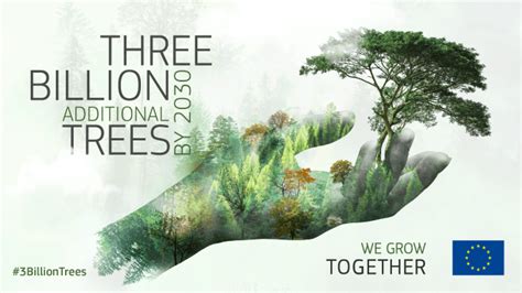 Billion Trees Eu Pledge Tree Of The Year