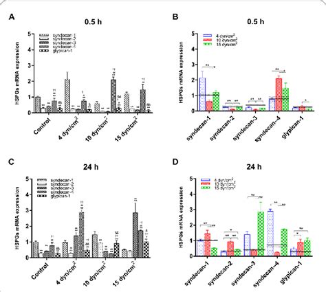 The Mrna Expressions Of Hspgs In Huvecs During Short Term And Long Term