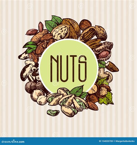 Nuts Set Sketch Style Food Illustrations Hand Drawn Beautiful Pictures