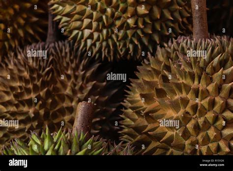 Background Surface Of Spiky Durian Fruits Stock Photo Alamy