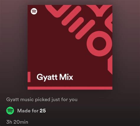 Gyatt Rweirdspotifyplaylists