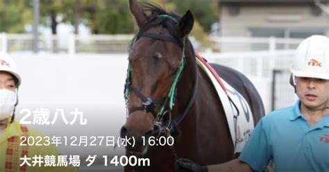 1227（水）🎄大井4r🎄地方競馬予想🎄1600⏰【s】｜よう競馬予想🥕gⅠシリーズ