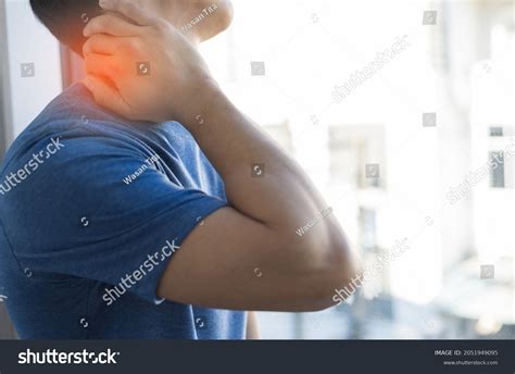 Anatomy Cervical Nerve Stretch Images Stock Photos Vectors