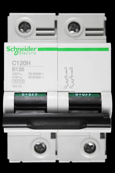 Schneider Curve B Ka Double Pole Mcb Circuit Breaker C H