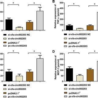 Expression levels of IL 6 A TNF α B IL 1β C and MCP 1 D