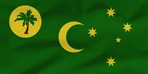 Premium Photo | A green flag with a crescent and star on it