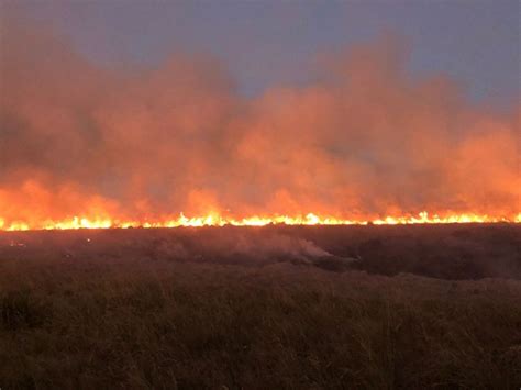 Incendios En Corrientes El De Lo Afectado Son Esteros