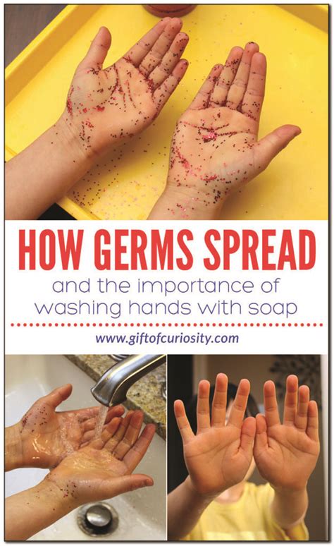 Microscopic Germs On Hands