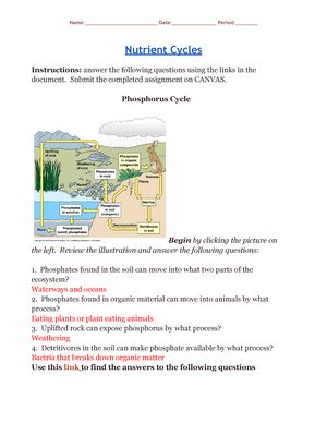 Copy Of Nutrient Cycles Name Date Period Nutrient Studocu