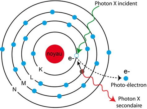 Exemple D Interaction Entre Un Photon X Issu Du Faisceau Synchrotron Et