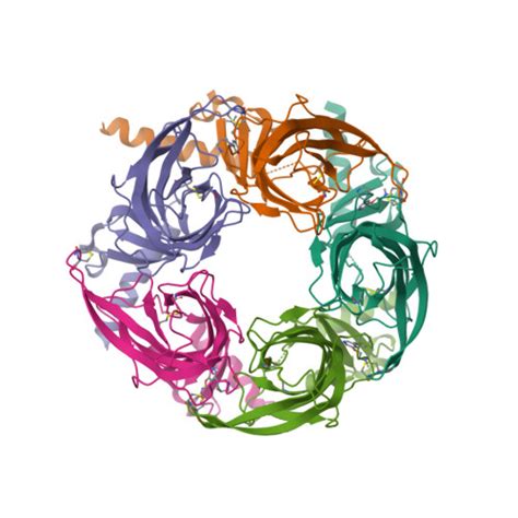 RCSB PDB 5KE4 Crystal Structure Of A Chimeric Acetylcholine Binding