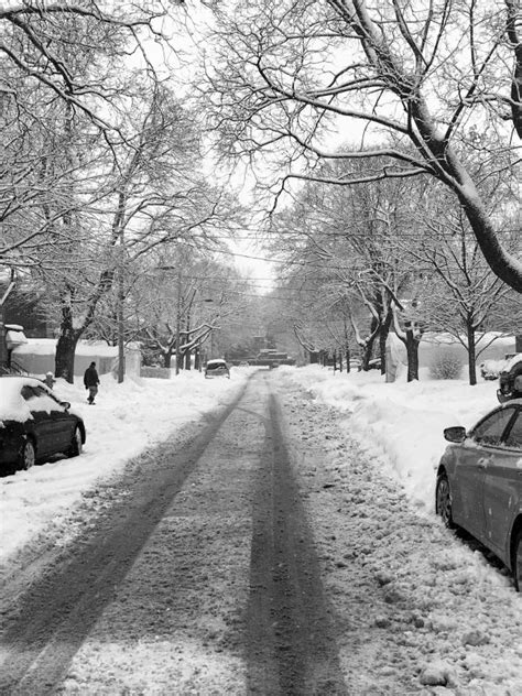 Kostenlose Foto Baum Draussen Winter Schwarz Und Wei Wei