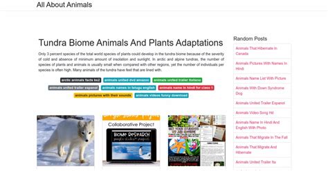 Tundra Biome Animals And Plants Adaptations