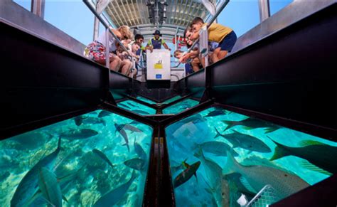 Glass Bottom Boat