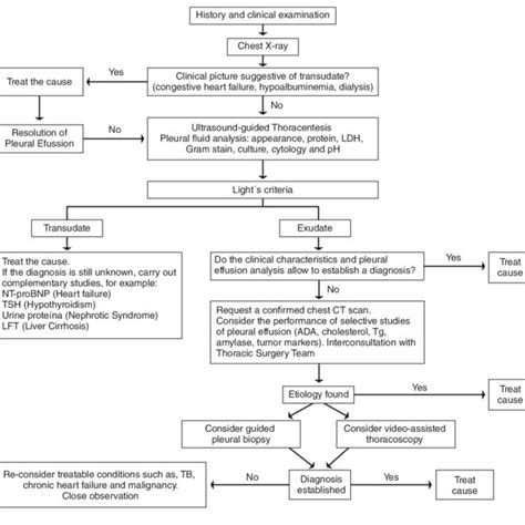 Algorithm Of Diagnostic Approach Of Pleural Effusion Download Scientific Diagram