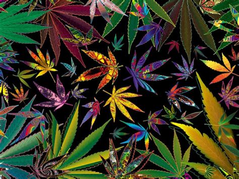 [100+] Psychedelic Weed Wallpapers | Wallpapers.com