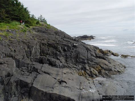 Porcupine Bay Chichagof Island Alaska