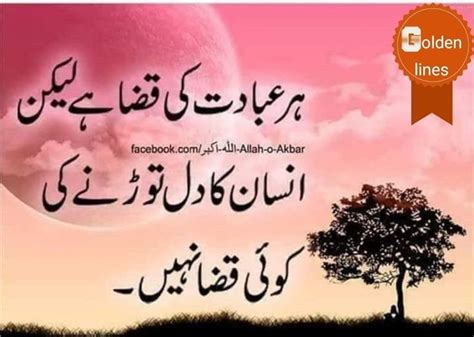 Pin By Soomal Mari On Urdu Urdu Words Deep Words Thoughts