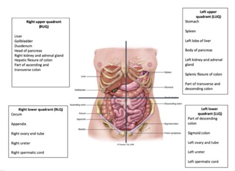 Health Assessment Exam 2 Flashcards | Quizlet