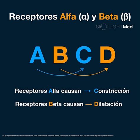 Receptores Alfa Y Beta Adrenérgicos 🤩 Medschool Medlife