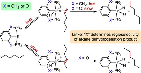 Origin Of Regioselectivity In The Dehydrogenation Of Alkanes By Pincer