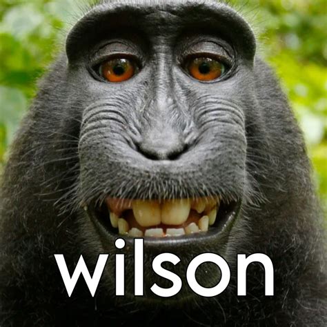 Wilson | Debating Community Wiki | Fandom