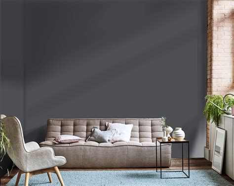 Краски Dulux В Интерьере Фото – Telegraph
