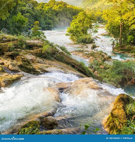 Agua Azul Waterfall stock photo. Image of river, paradise - 108740482