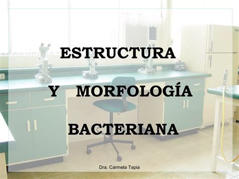 Morfologia Bacteriana PPT