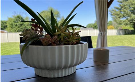 My Top 6 Favorite Walmart Pots for Indoor & Outdoor! | Living Rich With ...