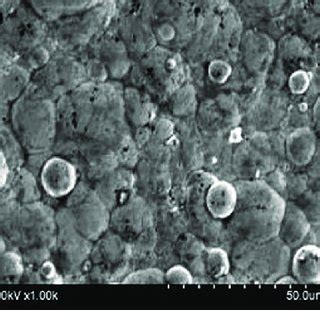 Sem Micrograph X Of Electroless Ni P And Al O Coated On Allm