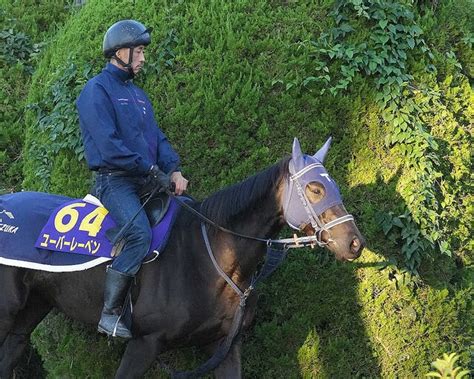 【天皇賞・秋】（14）ユーバーレーベン 枠にこだわらず、陣営「馬は変わらずいい雰囲気」 ライブドアニュース