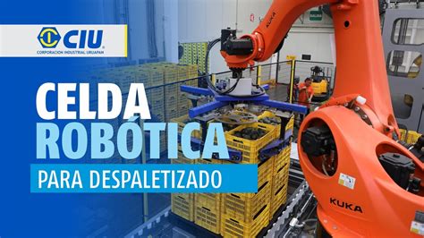 CIU ROBOT DESPALETIZADOR PARA CAJA DE CAMPO YouTube