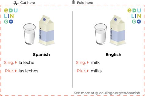Milk in Spanish • Writing and pronunciation (with pictures)