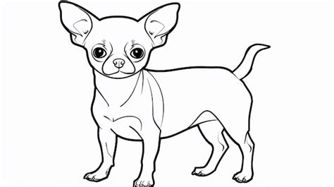 A outline drawing of a dog for kids drawing book | Premium AI-generated ...