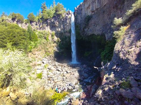 Parque Nacional Laguna Del Laja Un Refugio Para La Biodiversidad