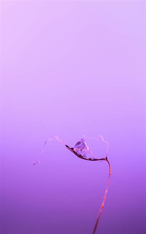 Purple Pastel Flower Wallpaper Photos, Download The BEST Free Purple Pastel Flower Wallpaper ...